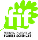 logo_fif_4c_engl