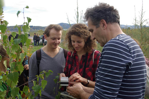 Measurements of leaf physiology at a TreeDivNet site - Germany